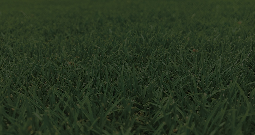 Turf Melbourne