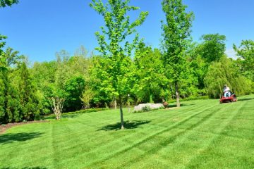 Property Groundskeeping Services